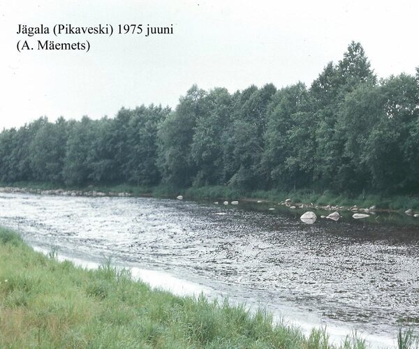 Maakond: Harjumaa Veekogu nimi: Jägala jõgi Pildistamise aeg: juuni 1975 Pildistaja: N. Mikelsaar Pildistamise koht: Pikaveski Asimuut: