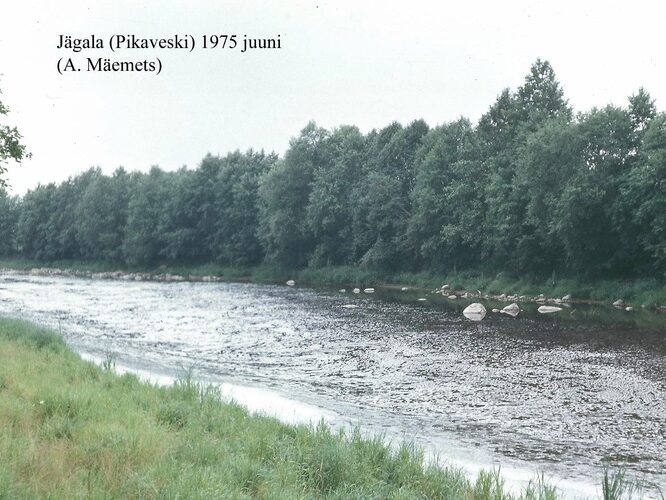 Maakond: Harjumaa Veekogu nimi: Jägala jõgi Pildistamise aeg: juuni 1975 Pildistaja: N. Mikelsaar Pildistamise koht: Pikaveski Asimuut: