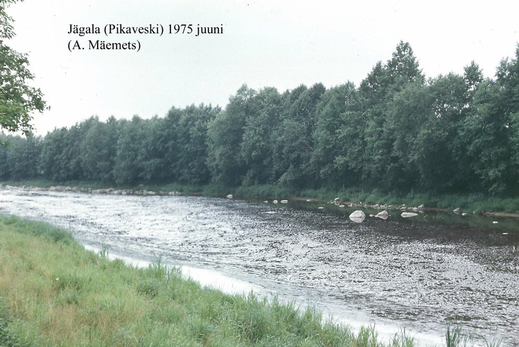 Maakond: Harjumaa Veekogu nimi: Jägala jõgi Pildistamise aeg: juuni 1975 Pildistaja: N. Mikelsaar Pildistamise koht: Pikaveski Asimuut: