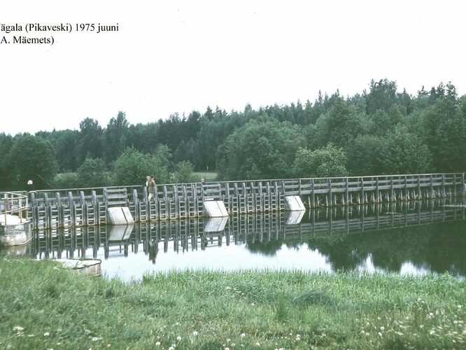 Maakond: Harjumaa Veekogu nimi: Jägala jõgi Pildistamise aeg: 17. juuni 1975 Pildistaja: N. Mikelsaar Pildistamise koht: Pikaveski Asimuut: