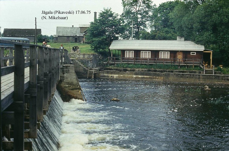 Maakond: Harjumaa Veekogu nimi: Jägala jõgi Pildistamise aeg: 17. juuni 1975 Pildistaja: N. Mikelsaar Pildistamise koht: Pikaveski Asimuut: