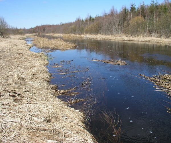 Maakond: Harjumaa Veekogu nimi: Jägala jõgi Pildistamise aeg: 25. aprill 2003 Pildistaja: H. Timm Pildistamise koht: Pikaveski Asimuut: