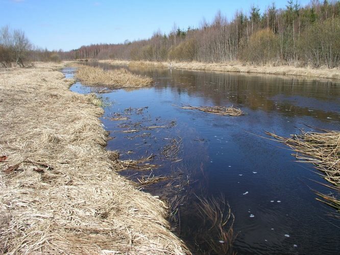 Maakond: Harjumaa Veekogu nimi: Jägala jõgi Pildistamise aeg: 25. aprill 2003 Pildistaja: H. Timm Pildistamise koht: Pikaveski Asimuut: