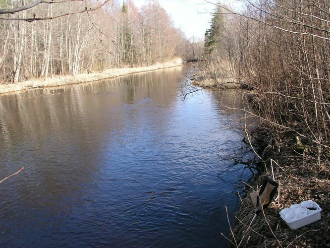 Maakond: Harjumaa Veekogu nimi: Jägala jõgi Pildistamise aeg: 25. aprill 2003 Pildistaja: H. Timm Pildistamise koht: Voose Asimuut: