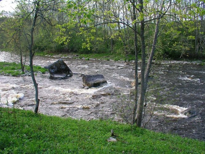 Maakond: Harjumaa Veekogu nimi: Jägala jõgi Pildistamise aeg: 13. mai 2009 Pildistaja: H. Timm Pildistamise koht: allpool juga Asimuut: