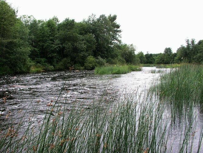 Maakond: Harjumaa Veekogu nimi: Jägala jõgi Pildistamise aeg: 28. juuli 2009 Pildistaja: H. Timm Pildistamise koht: Kehra sillast 150 m ülal Asimuut: