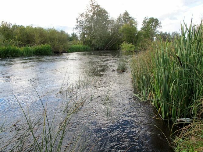 Maakond: Harjumaa Veekogu nimi: Jägala jõgi Pildistamise aeg: 20. september 2010 Pildistaja: H. Timm Pildistamise koht: Kehra Asimuut: