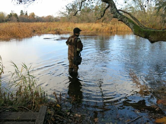 Maakond: Harjumaa Veekogu nimi: Jägala jõgi Pildistamise aeg: 19. oktoober 2013 Pildistaja: H. Timm Pildistamise koht: alamjooks, parem kallas Asimuut: