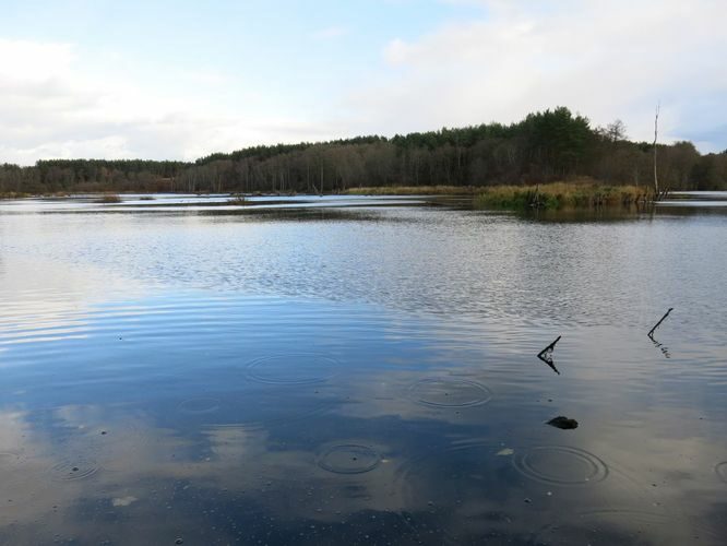 Maakond: Harjumaa Veekogu nimi: Jägala jõgi Pildistamise aeg: 19. oktoober 2013 Pildistaja: H. Timm Pildistamise koht: Linnamäe paisjärv Asimuut: