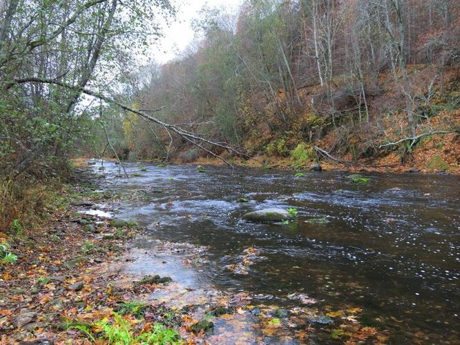 Maakond: Harjumaa Veekogu nimi: Jägala jõgi Pildistamise aeg: 19. oktoober 2013 Pildistaja: H. Timm Pildistamise koht: Jägala HEJ Asimuut: