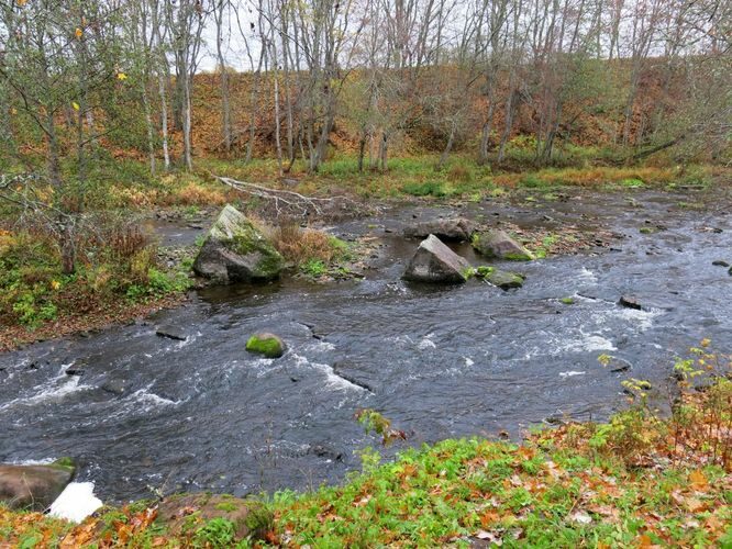 Maakond: Harjumaa Veekogu nimi: Jägala jõgi Pildistamise aeg: 19. oktoober 2013 Pildistaja: H. Timm Pildistamise koht: enne Jõelähtme suuet Asimuut: