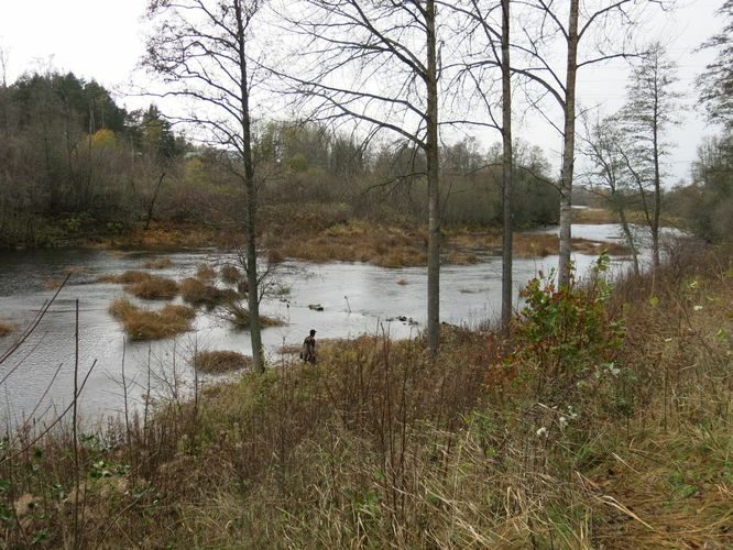 Maakond: Harjumaa Veekogu nimi: Jägala jõgi Pildistamise aeg: 19. oktoober 2013 Pildistaja: H. Timm Pildistamise koht: allpool Linnamäe paisu Asimuut: