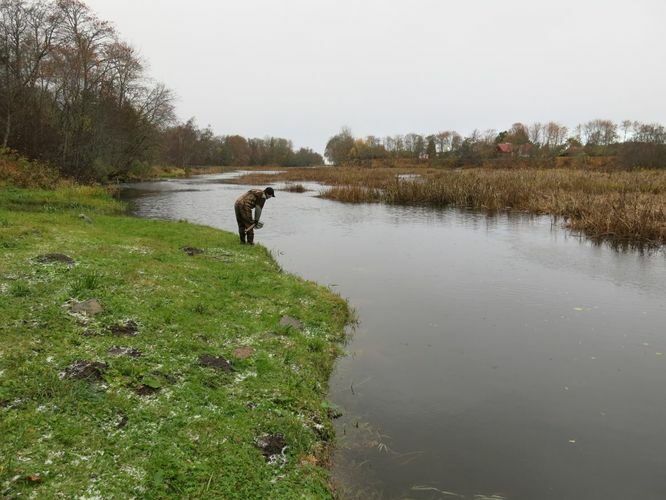 Maakond: Harjumaa Veekogu nimi: Jägala jõgi Pildistamise aeg: 19. oktoober 2013 Pildistaja: H. Timm Pildistamise koht: alamjooks,vasak kallas Asimuut: