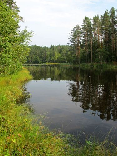 Maakond: Harjumaa Veekogu nimi: Järvi Pikkjärv Pildistamise aeg: august 2010 Pildistaja: H. Timm Pildistamise koht: teadmata Asimuut: