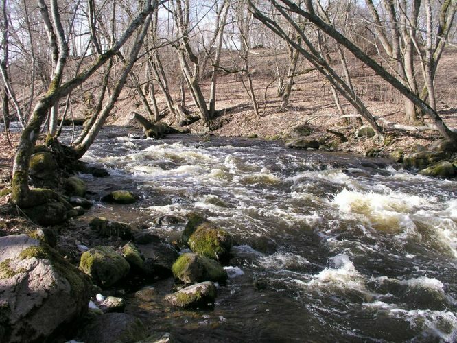 Maakond: Harjumaa Veekogu nimi: Jõelähtme jõgi Pildistamise aeg: 25. aprill 2003 Pildistaja: H. Timm Pildistamise koht: enne suuet Asimuut: