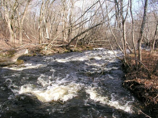 Maakond: Harjumaa Veekogu nimi: Jõelähtme jõgi Pildistamise aeg: 25. aprill 2003 Pildistaja: H. Timm Pildistamise koht: enne suuet Asimuut: