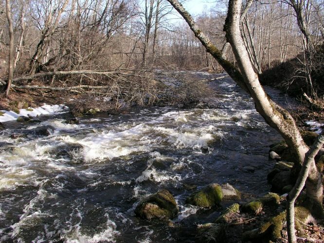 Maakond: Harjumaa Veekogu nimi: Jõelähtme jõgi Pildistamise aeg: 25. aprill 2003 Pildistaja: H. Timm Pildistamise koht: enne suuet Asimuut: