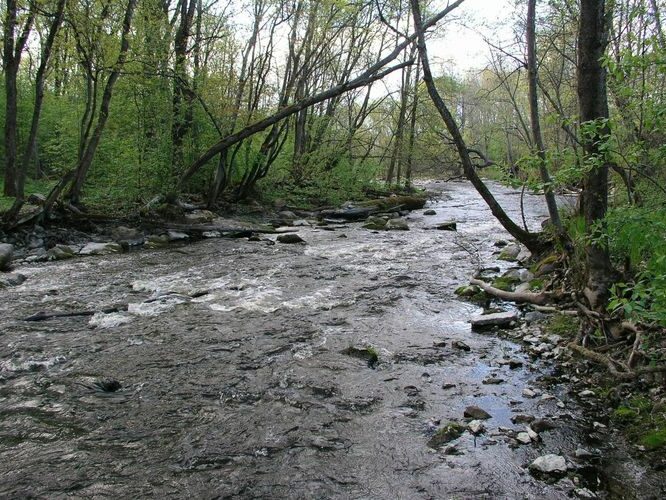 Maakond: Harjumaa Veekogu nimi: Jõelähtme jõgi Pildistamise aeg: 13. mai 2009 Pildistaja: H. Timm Pildistamise koht: enne suuet Asimuut: