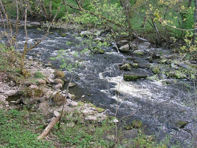 Maakond: Harjumaa Veekogu nimi: Jõelähtme jõgi Pildistamise aeg: 13. mai 2009 Pildistaja: H. Timm Pildistamise koht: enne suuet Asimuut: