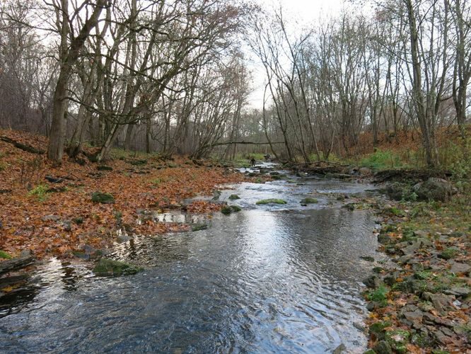 Maakond: Harjumaa Veekogu nimi: Jõelähtme jõgi Pildistamise aeg: 19. oktoober 2013 Pildistaja: H. Timm Pildistamise koht: alamjooks Asimuut: