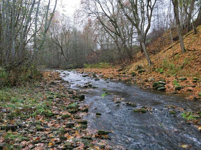 Maakond: Harjumaa Veekogu nimi: Jõelähtme jõgi Pildistamise aeg: 19. oktoober 2013 Pildistaja: H. Timm Pildistamise koht: alamjooks Asimuut: