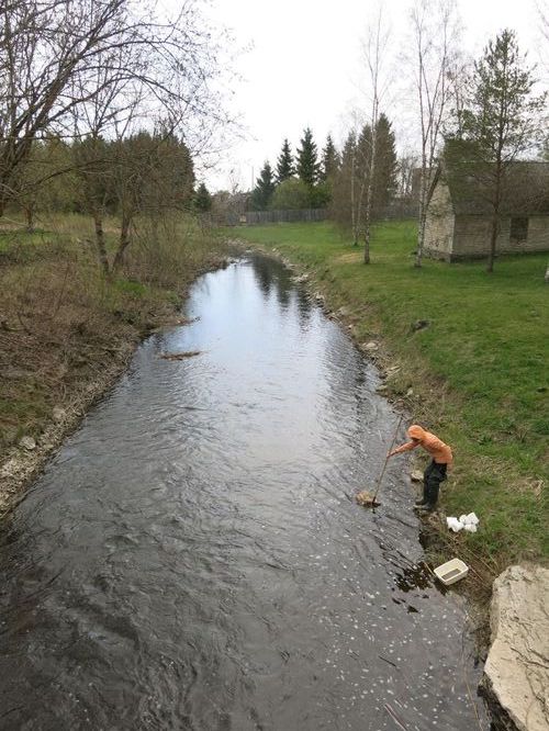 Maakond: Harjumaa Veekogu nimi: Jõelähtme jõgi Pildistamise aeg: 29. aprill 2014 Pildistaja: H. Timm Pildistamise koht: Kostivere Asimuut: