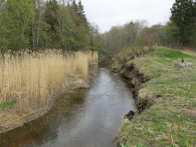 Maakond: Harjumaa Veekogu nimi: Jõelähtme jõgi Pildistamise aeg: 29. aprill 2014 Pildistaja: H. Timm Pildistamise koht: Rätla Asimuut: