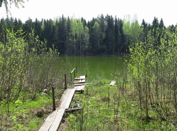 Maakond: Ida-Virumaa Veekogu nimi: Jõuga Liivjärv Pildistamise aeg: 14. mai 2013 Pildistaja: H. Timm Pildistamise koht: teadmata Asimuut: