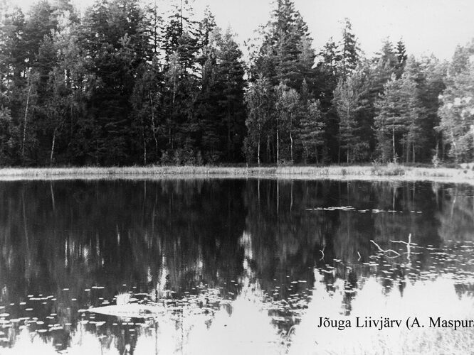 Maakond: Ida-Virumaa Veekogu nimi: Jõuga Liivjärv Pildistamise aeg: teadmata Pildistaja: A. Maspuran Pildistamise koht: teadmata Asimuut: