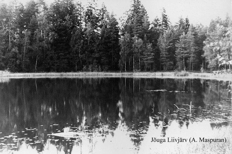 Maakond: Ida-Virumaa Veekogu nimi: Jõuga Liivjärv Pildistamise aeg: teadmata Pildistaja: A. Maspuran Pildistamise koht: teadmata Asimuut: