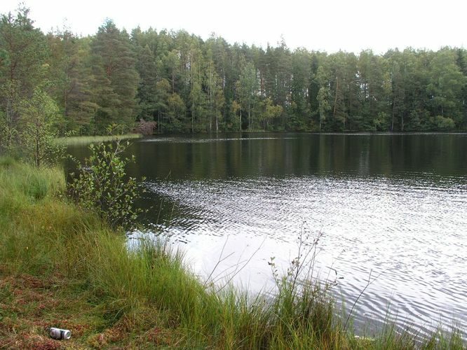 Maakond: Harjumaa Veekogu nimi: Jussi Kõverjärv Pildistamise aeg: 23. september 2009 Pildistaja: H. Timm Pildistamise koht: teadmata Asimuut: