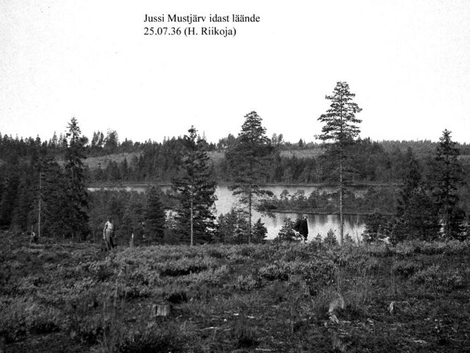 Maakond: Harjumaa Veekogu nimi: Jussi Mustjärv Pildistamise aeg: 25. juuli 1936 Pildistaja: H. Riikoja Pildistamise koht: E kaldalt Asimuut: W