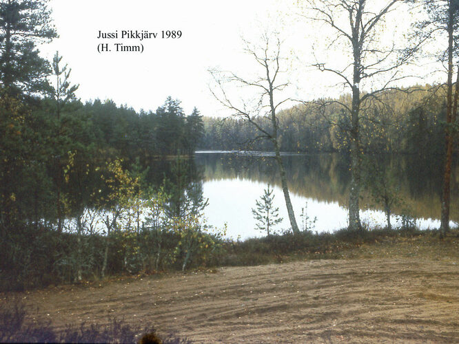 Maakond: Harjumaa Veekogu nimi: Jussi Pikkjärv Pildistamise aeg: 1989 Pildistaja: H. Timm Pildistamise koht: teadmata Asimuut: