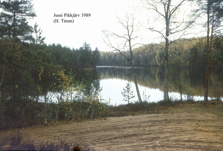 Maakond: Harjumaa Veekogu nimi: Jussi Pikkjärv Pildistamise aeg: 1989 Pildistaja: H. Timm Pildistamise koht: teadmata Asimuut: