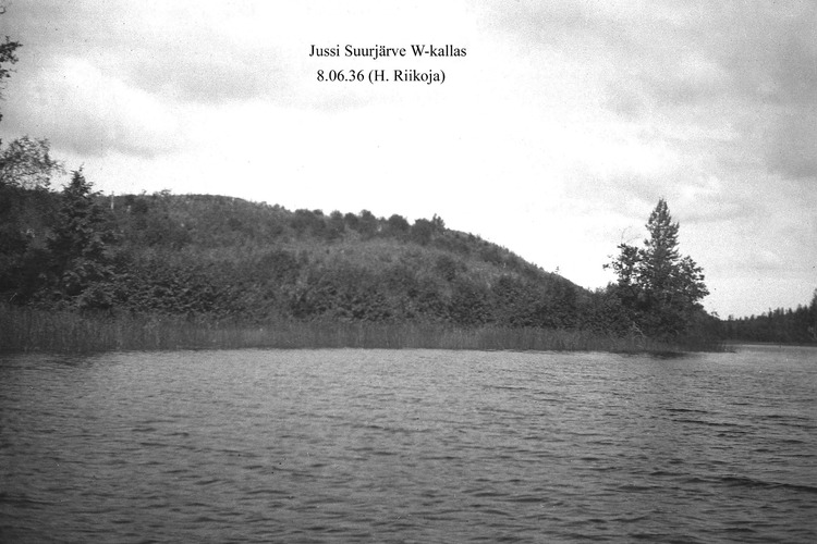 Maakond: Harjumaa Veekogu nimi: Jussi Suurjärv Pildistamise aeg: 8. juuni 1936 Pildistaja: H. Riikoja Pildistamise koht: W kallas Asimuut: