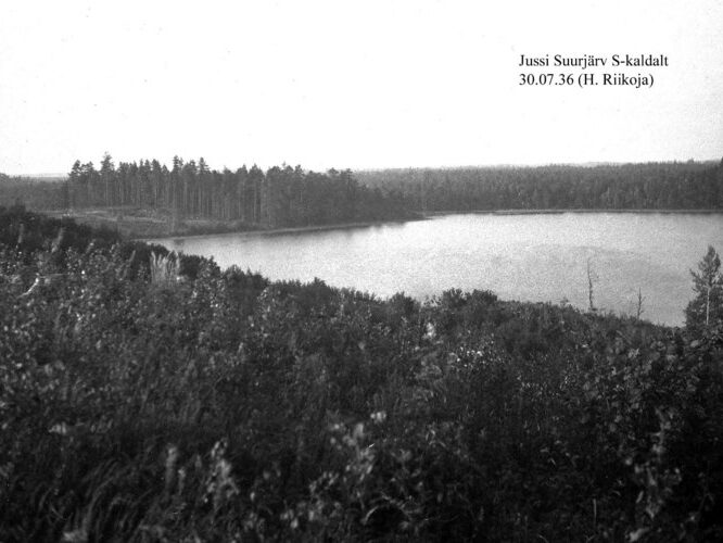 Maakond: Harjumaa Veekogu nimi: Jussi Suurjärv Pildistamise aeg: 30. juuli 1936 Pildistaja: H. Riikoja Pildistamise koht: S kaldalt Asimuut: