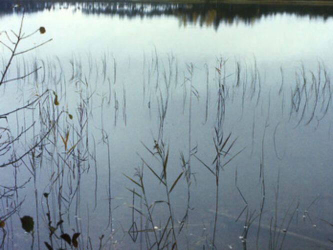 Maakond: Harjumaa Veekogu nimi: Jussi Suurjärv Pildistamise aeg: 1990 Pildistaja: H. Timm Pildistamise koht: teadmata Asimuut: