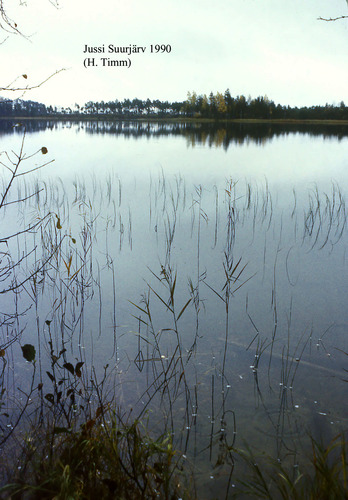 Maakond: Harjumaa Veekogu nimi: Jussi Suurjärv Pildistamise aeg: 1990 Pildistaja: H. Timm Pildistamise koht: teadmata Asimuut: