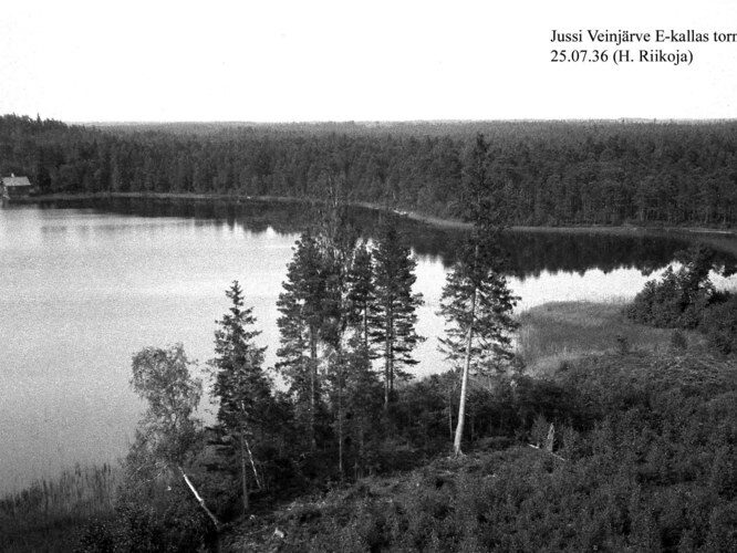 Maakond: Harjumaa Veekogu nimi: Jussi Väinjärv Pildistamise aeg: 25. juuli 1936 Pildistaja: H. Riikoja Pildistamise koht: E kallas tornist Asimuut: