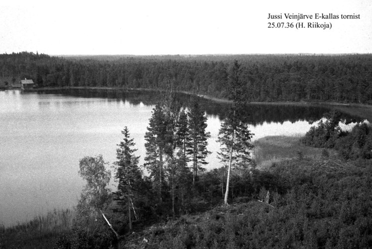 Maakond: Harjumaa Veekogu nimi: Jussi Väinjärv Pildistamise aeg: 25. juuli 1936 Pildistaja: H. Riikoja Pildistamise koht: E kallas tornist Asimuut: