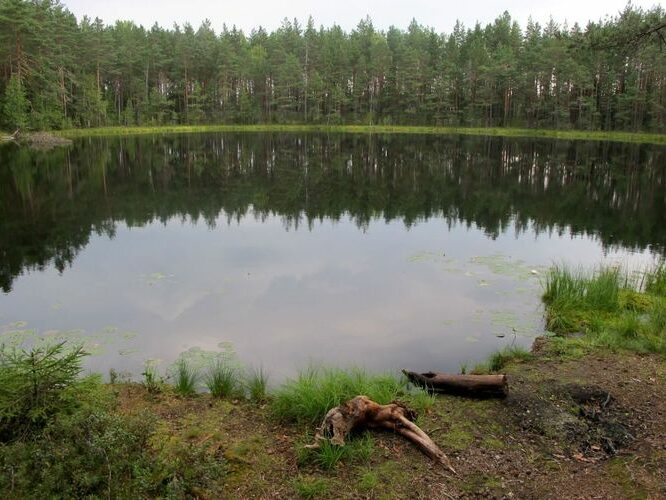 Maakond: Harjumaa Veekogu nimi: Kaasikjärv Pildistamise aeg: august 2010 Pildistaja: H. Timm Pildistamise koht: teadmata Asimuut: