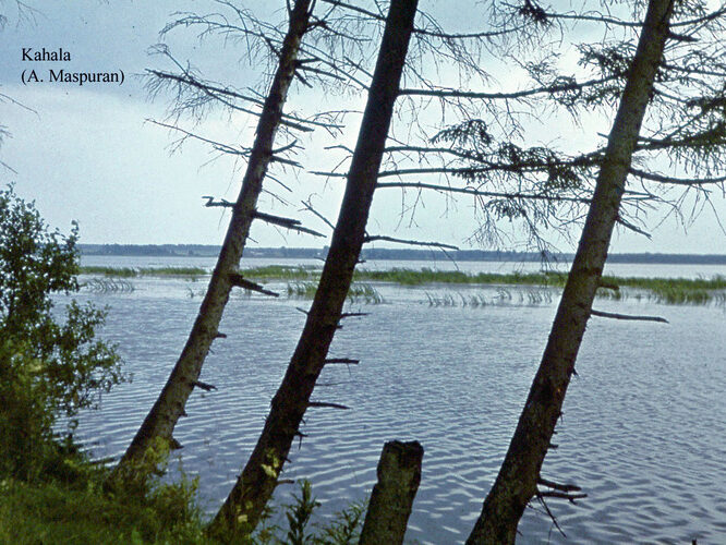 Maakond: Harjumaa Veekogu nimi: Kahala järv Pildistamise aeg: teadmata Pildistaja: A. Maspuran Pildistamise koht: teadmata Asimuut: