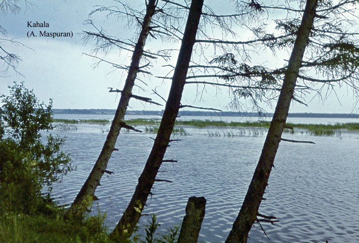 Maakond: Harjumaa Veekogu nimi: Kahala järv Pildistamise aeg: teadmata Pildistaja: A. Maspuran Pildistamise koht: teadmata Asimuut: