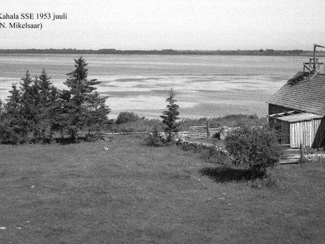 Maakond: Harjumaa Veekogu nimi: Kahala järv Pildistamise aeg: juuli 1953 Pildistaja: N. Mikelsaar Pildistamise koht: teadmata Asimuut: SSE