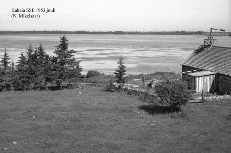 Maakond: Harjumaa Veekogu nimi: Kahala järv Pildistamise aeg: juuli 1953 Pildistaja: N. Mikelsaar Pildistamise koht: teadmata Asimuut: SSE