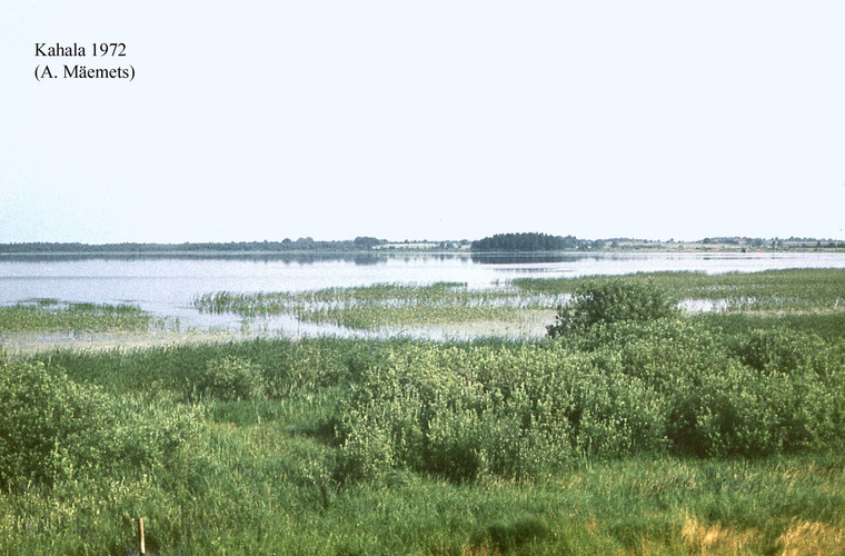 Maakond: Harjumaa Veekogu nimi: Kahala järv Pildistamise aeg: 1972 Pildistaja: A. Mäemets Pildistamise koht: teadmata Asimuut: