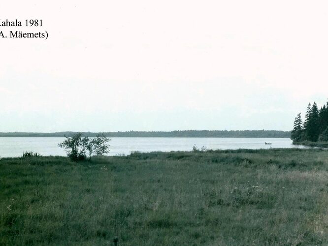 Maakond: Harjumaa Veekogu nimi: Kahala järv Pildistamise aeg: 1981 Pildistaja: A. Mäemets Pildistamise koht: teadmata Asimuut: