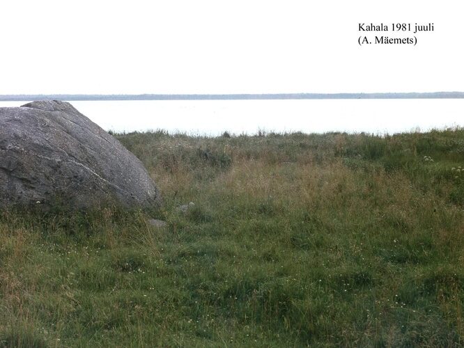 Maakond: Harjumaa Veekogu nimi: Kahala järv Pildistamise aeg: juuli 1981 Pildistaja: A. Mäemets Pildistamise koht: teadmata Asimuut: