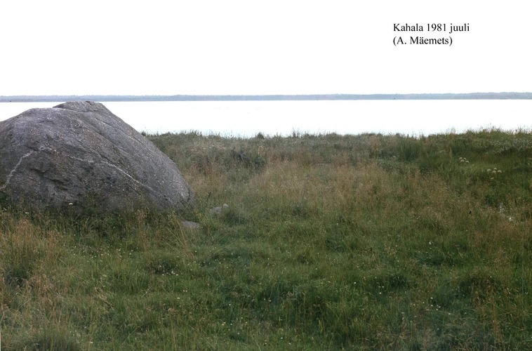 Maakond: Harjumaa Veekogu nimi: Kahala järv Pildistamise aeg: juuli 1981 Pildistaja: A. Mäemets Pildistamise koht: teadmata Asimuut: