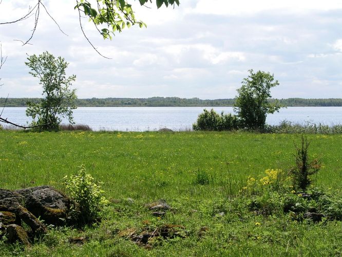 Maakond: Harjumaa Veekogu nimi: Kahala järv Pildistamise aeg: 19. mai 2008 Pildistaja: H. Timm Pildistamise koht: teadmata Asimuut: